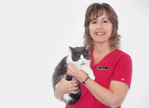 Vétérinaire Drummondville: Technicienne santé chats